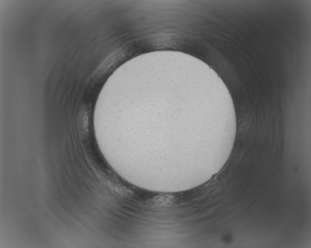 X0000076090124200610202119