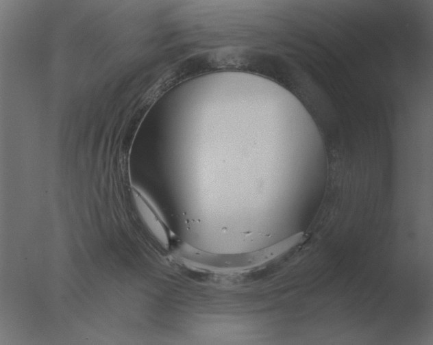 X0000076090125200610202119