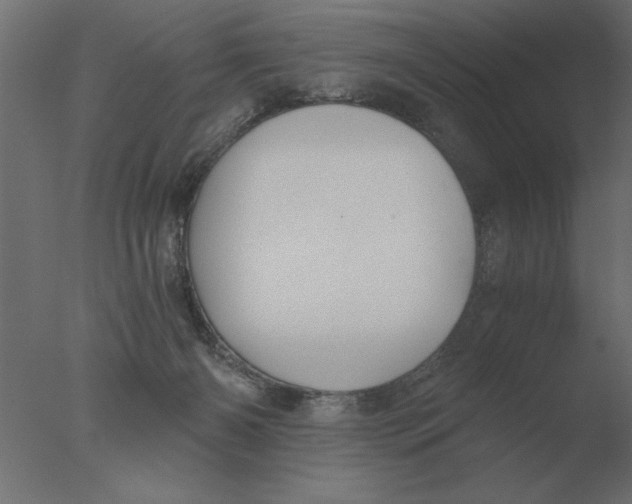 X0000076090126200610202119