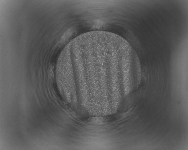 X0000076090127200610202119