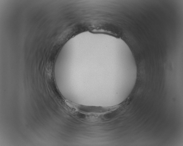 X0000076090129200610202119