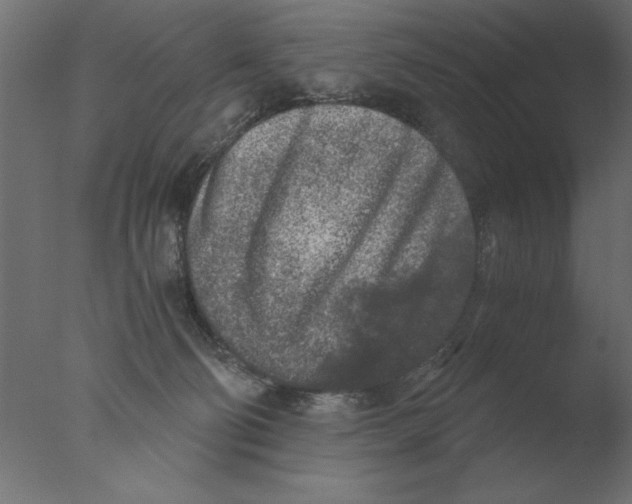 X0000076090130200610202119