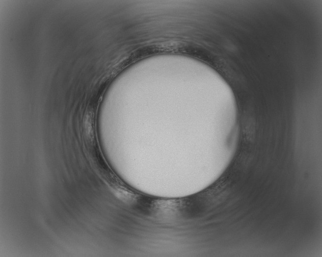 X0000076090131200610202119