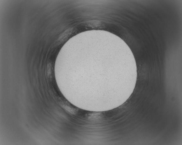 X0000076090132200610202119