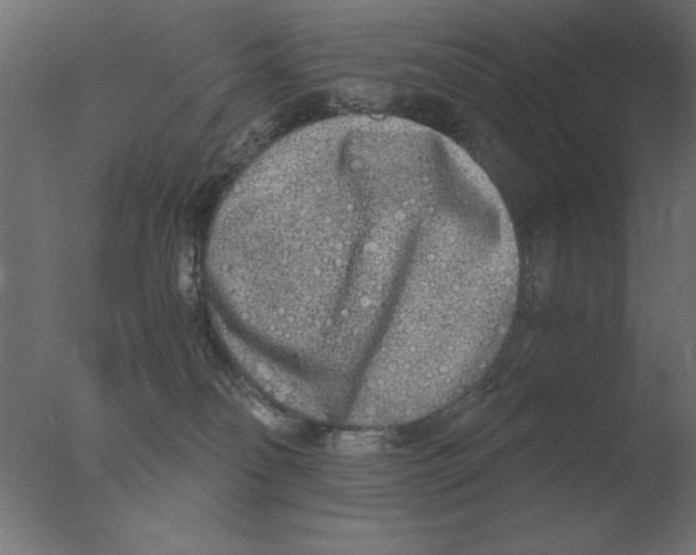 X0000076090134200610202119