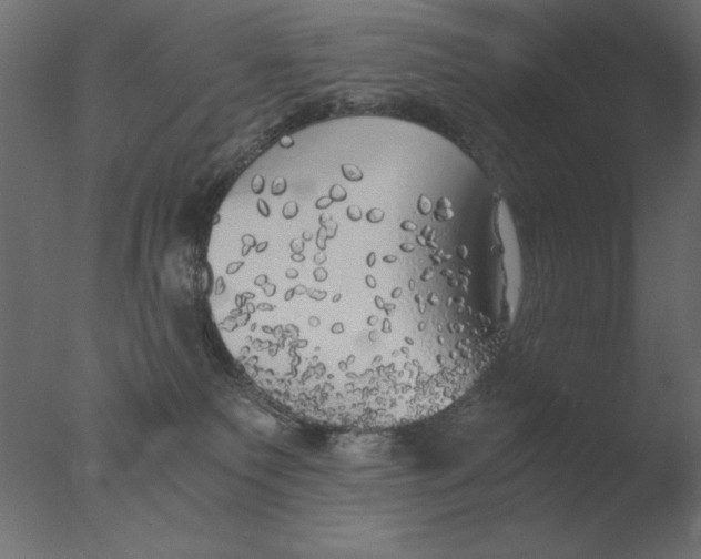 X0000076090135200610202119