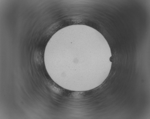 X0000076090136200610202119