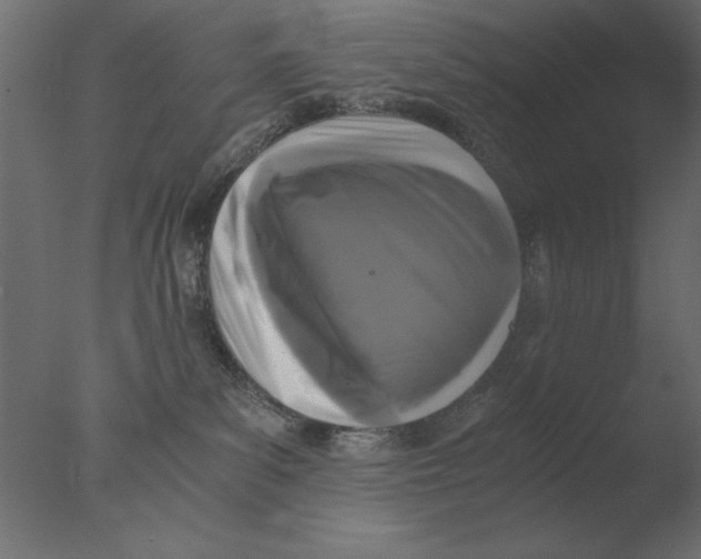 X0000076090139200610202119