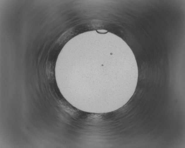 X0000076090140200610202119