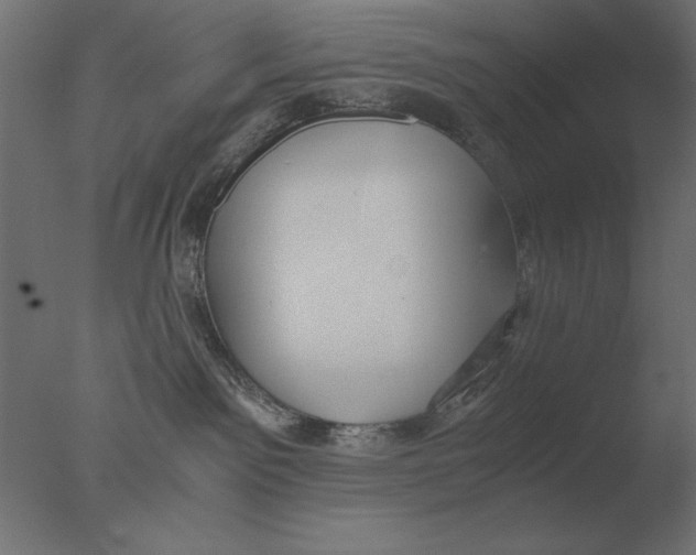 X0000076090141200610202119