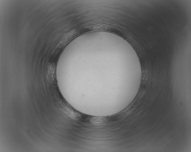 X0000076090142200610202119