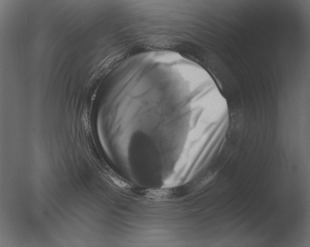 X0000076090143200610202118