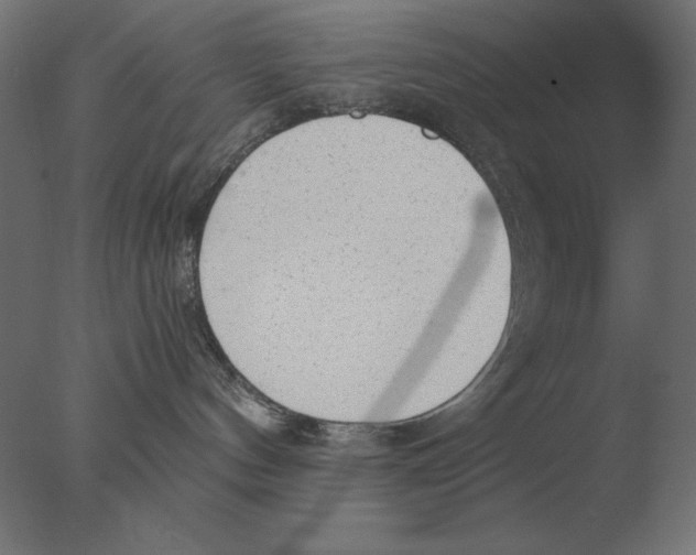 X0000076090144200610202118