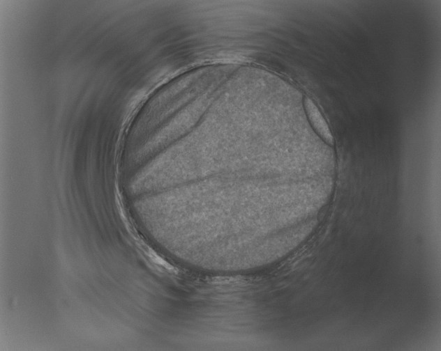 X0000076090145200610202118