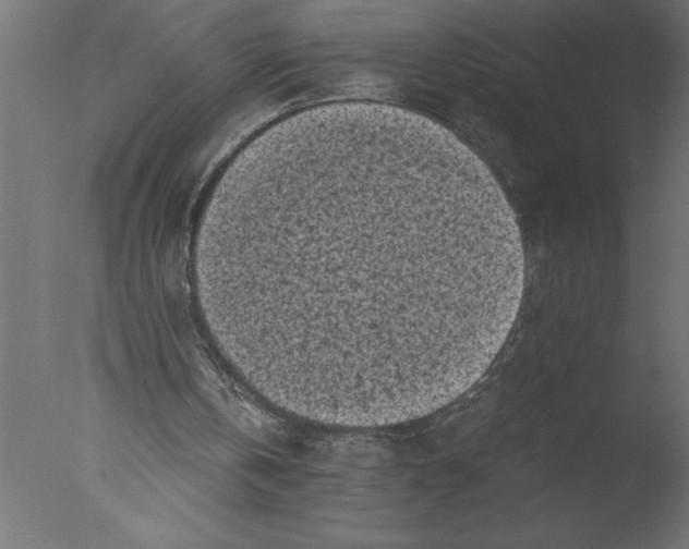 X0000076090146200610202118