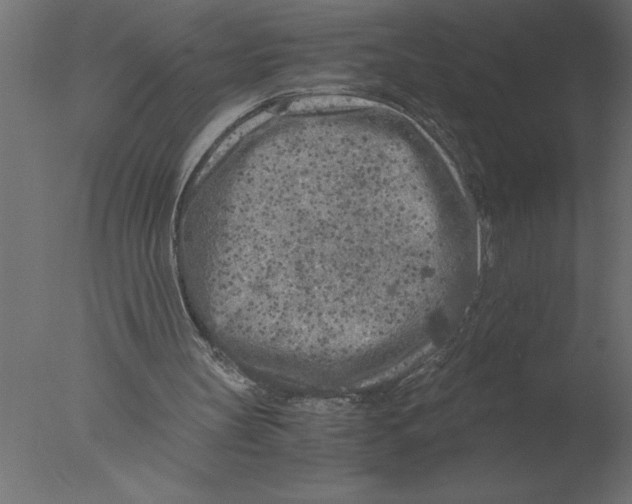 X0000076090147200610202118