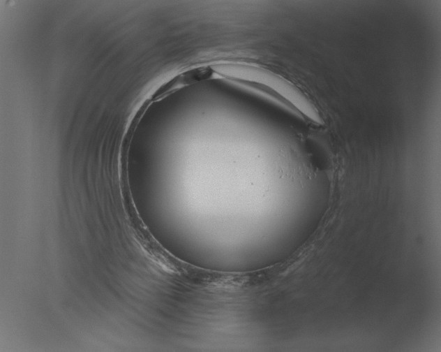 X0000076090148200610202118