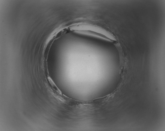 X0000076090150200610202118