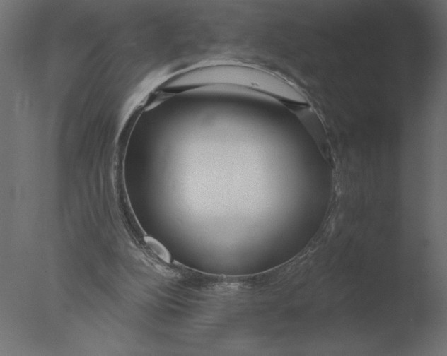 X0000076090152200610202118