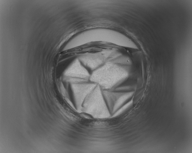 X0000076090154200610202118