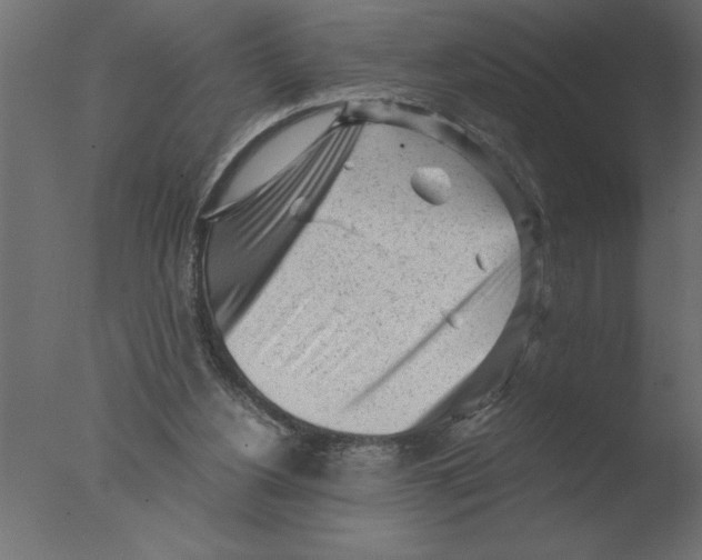 X0000076090156200610202118