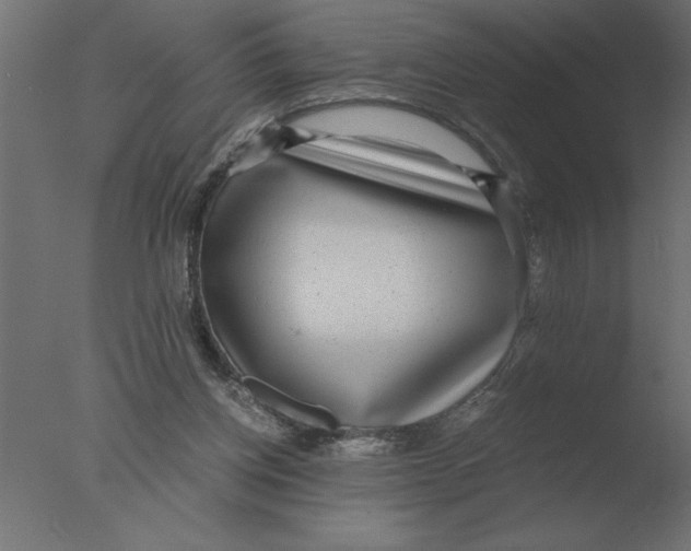 X0000076090158200610202118