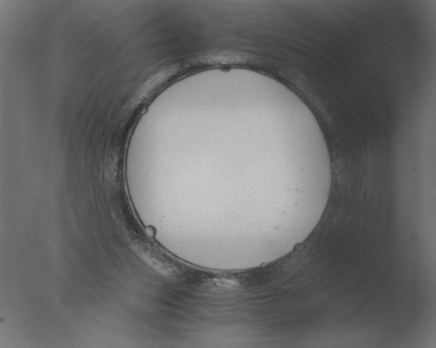 X0000076090159200610202118