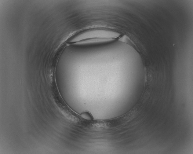 X0000076090160200610202118