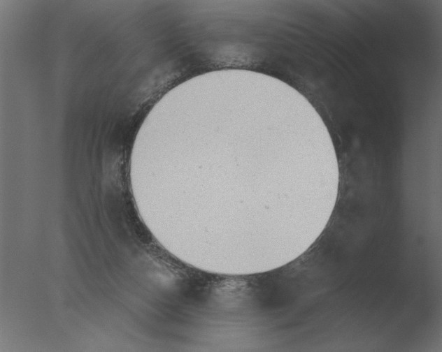 X0000076090162200610202118