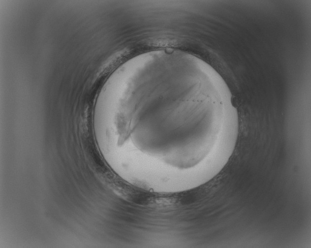 X0000076090163200610202118