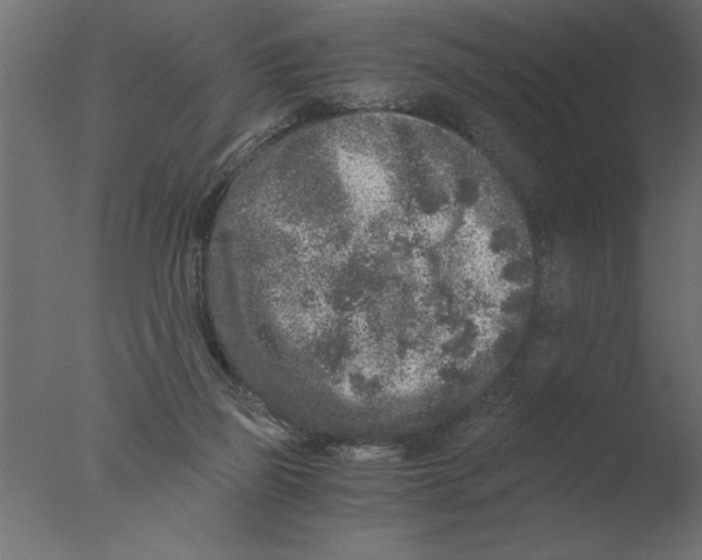 X0000076090165200610202118