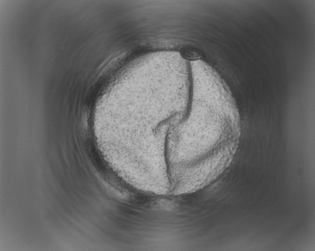 X0000076090166200610202118