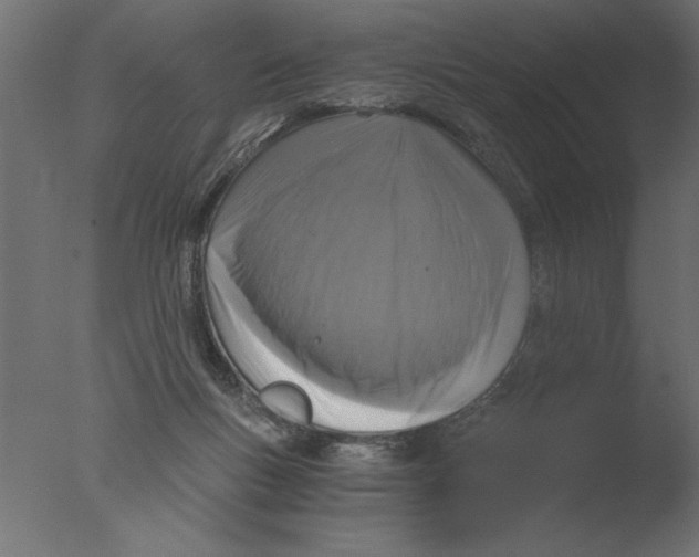 X0000076090167200610202118