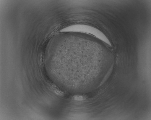 X0000076090169200610202118