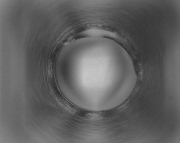 X0000076090170200610202118