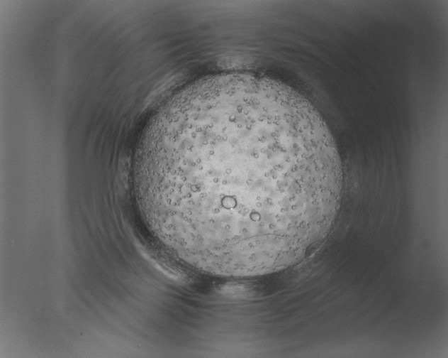 X0000076090171200610202118