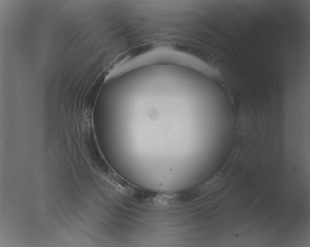 X0000076090172200610202118