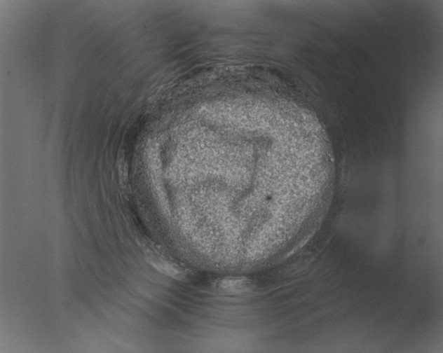 X0000076090173200610202118