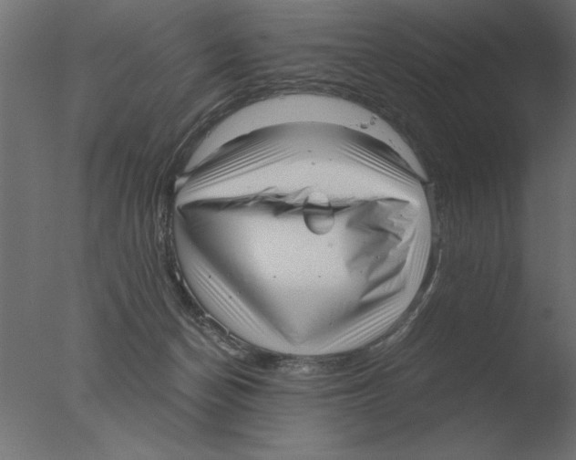 X0000076090174200610202118