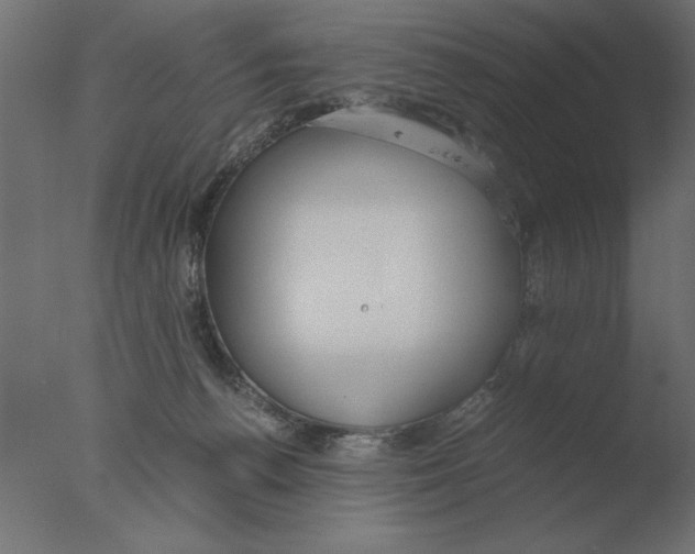 X0000076090176200610202118