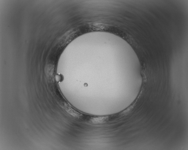 X0000076090178200610202118