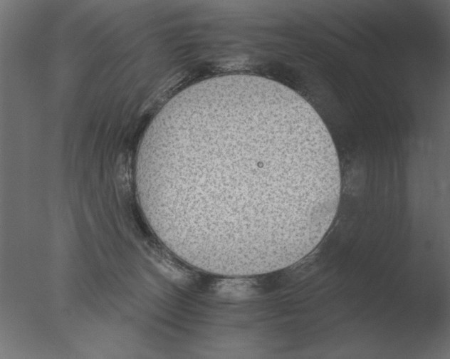 X0000076090179200610202118