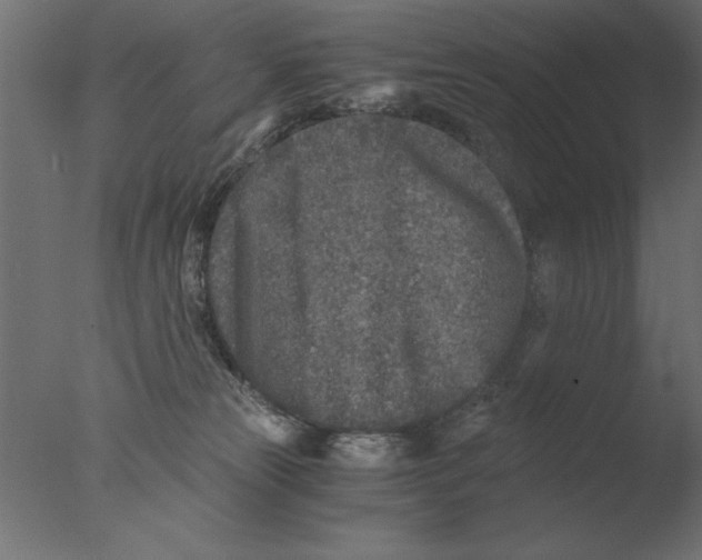 X0000076090181200610202118