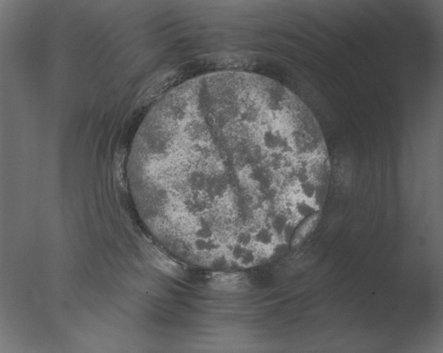 X0000076090185200610202118