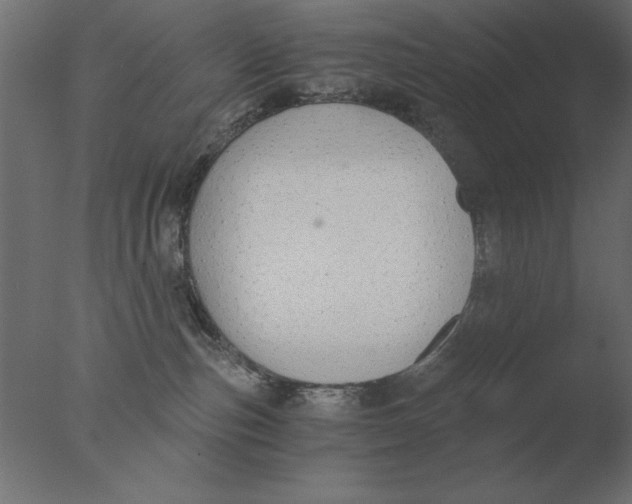 X0000076090187200610202118