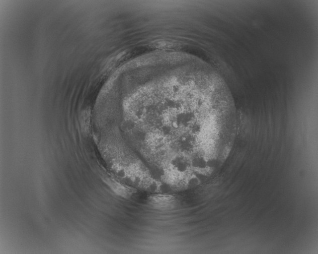 X0000076090189200610202118