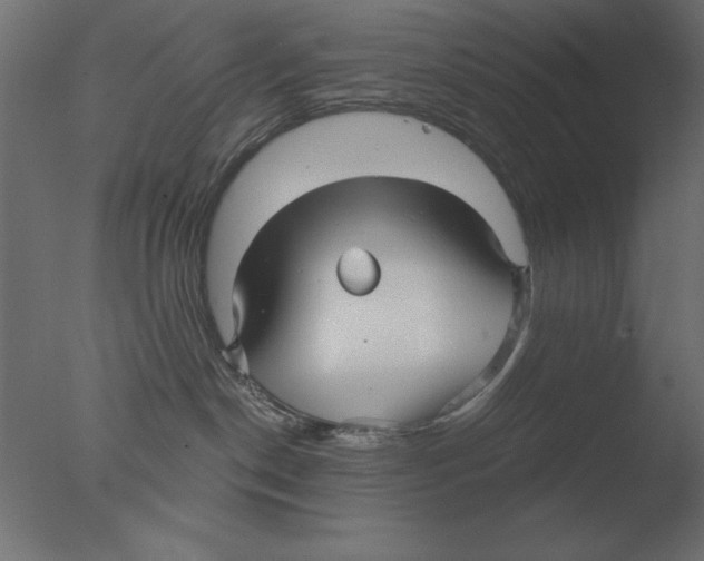 X0000076090190200610202118