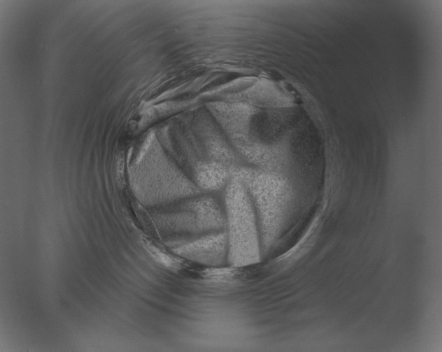 X0000076090192200610202118