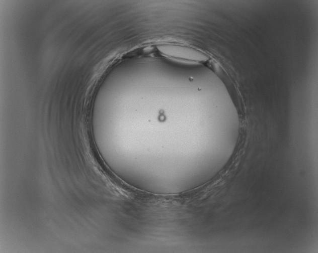 X0000076090193200610202118