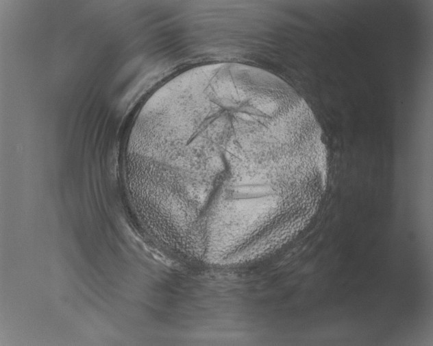 X0000076090194200610202118